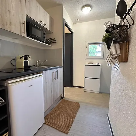 Apartman Le Davin - Parc Paul Mistral - Stade Des Alpes Grenoble