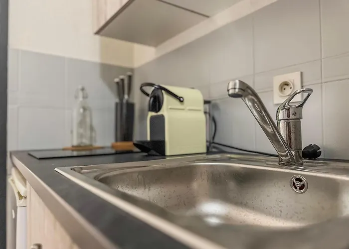 Le Davin - Parc Paul Mistral - Stade Des Alpes 格勒诺布尔