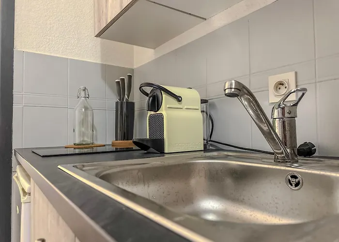 公寓 Le Davin - Parc Paul Mistral - Stade Des Alpes 格勒诺布尔