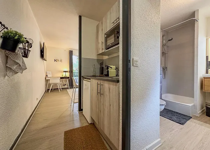 公寓 Le Davin - Parc Paul Mistral - Stade Des Alpes *