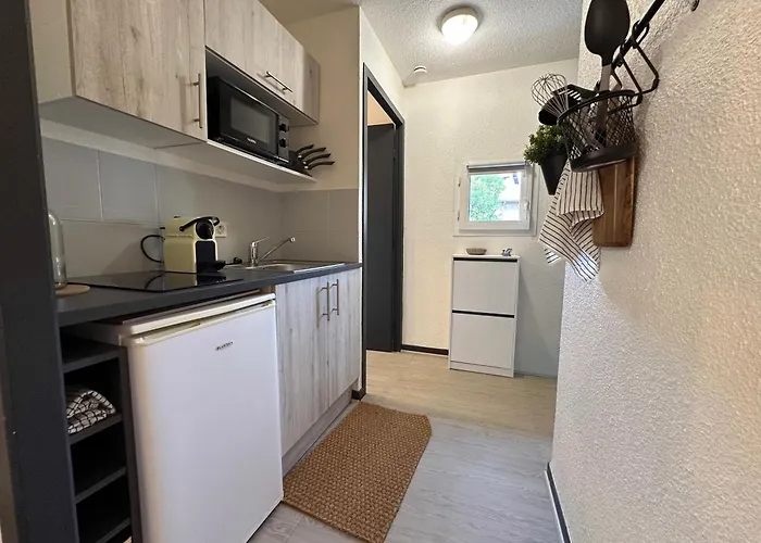 Апартаменти Le Davin - Parc Paul Mistral - Stade Des Alpes Гренобль