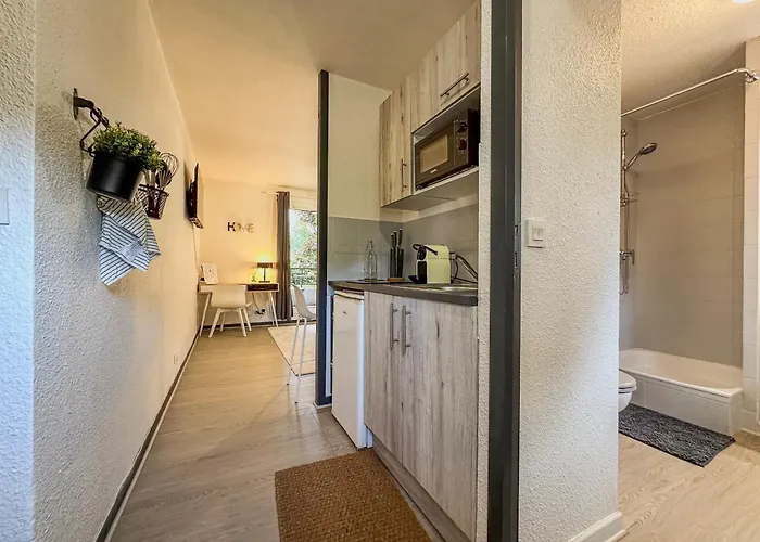 Le Davin - Parc Paul Mistral - Stade Des Alpes Апартаменти *