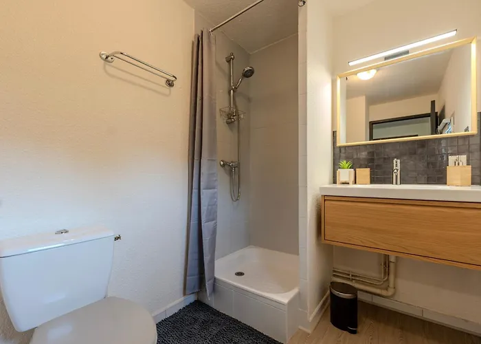 Le Davin - Parc Paul Mistral - Stade Des Alpes Апартаменти *